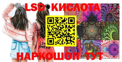 ГАЛЛЮЦИНОГЕННЫЕ ГРИБЫ Дубна