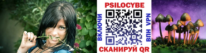 Псилоцибиновые грибы ЛСД Майкоп