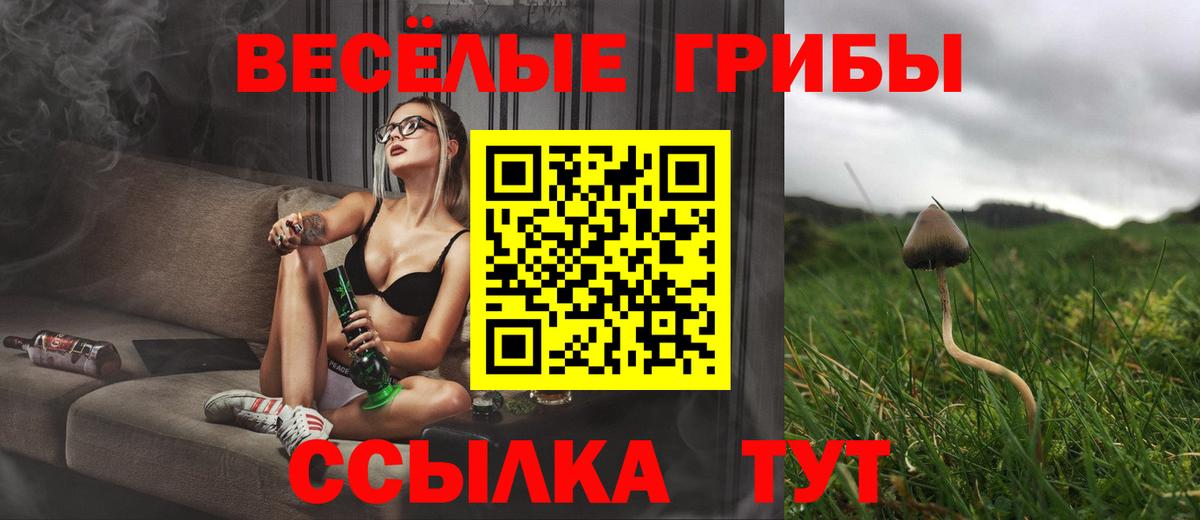 Майкоп  где можно купить   Вход с VPN  Галлюциногенные грибы мицелий 