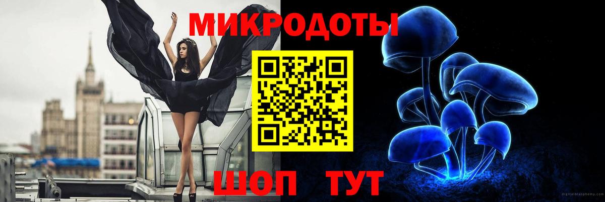 Галлюциногенные грибы Cubensis Майкоп