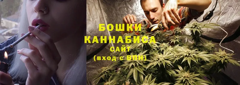 где можно купить   Майкоп  Бошки марихуана OG Kush 